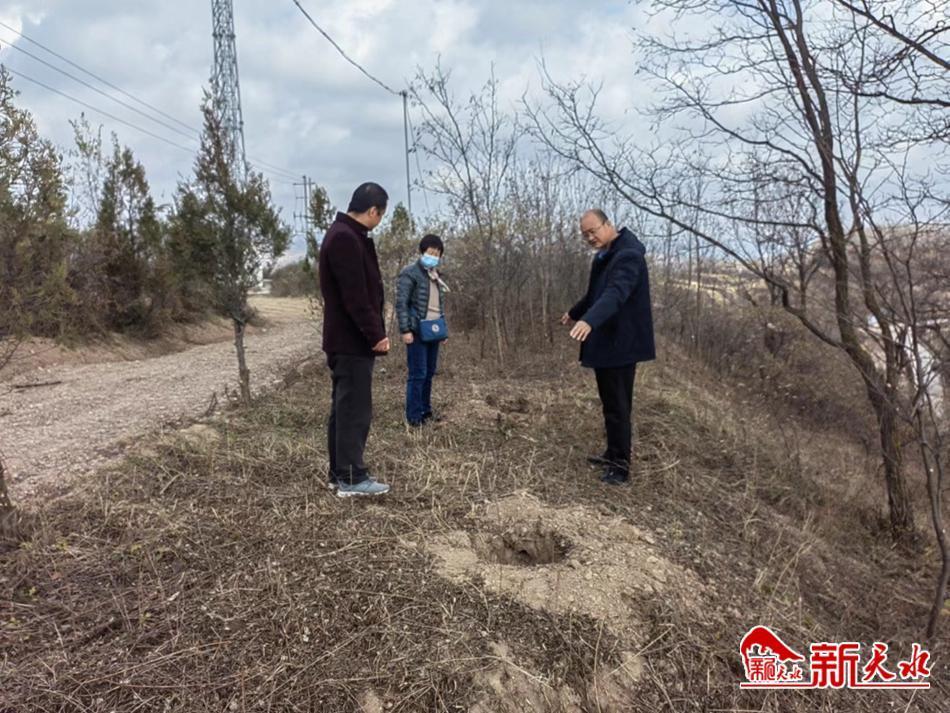 甘谷县发展和改革局最新项目概述