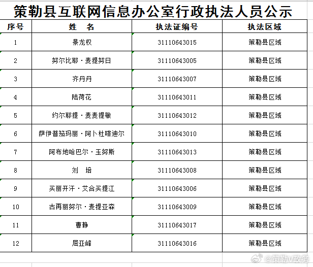 精河县数据和政务服务局发展规划深度解析