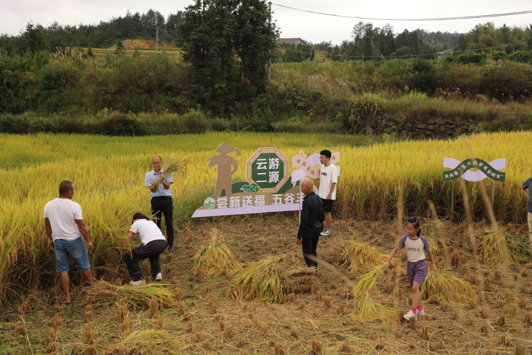 上果园村民委员会最新交通新闻