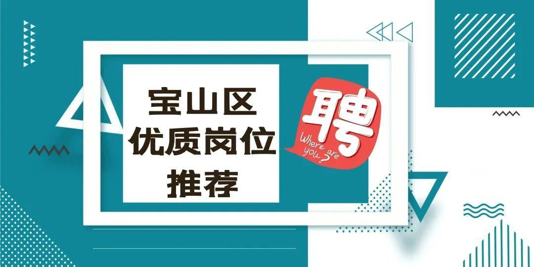 宝山区发展和改革局最新招聘详情解析