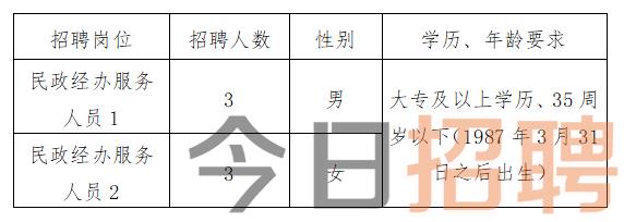 册山街道最新招聘信息全面解析