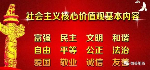 国营新光农场最新招聘信息及招聘动态概述