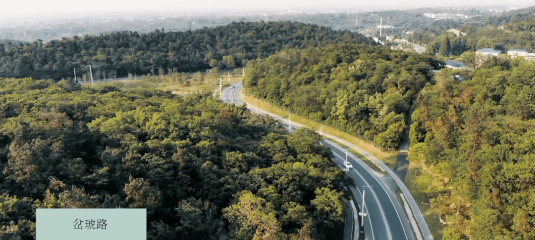 太东林场最新新闻报道