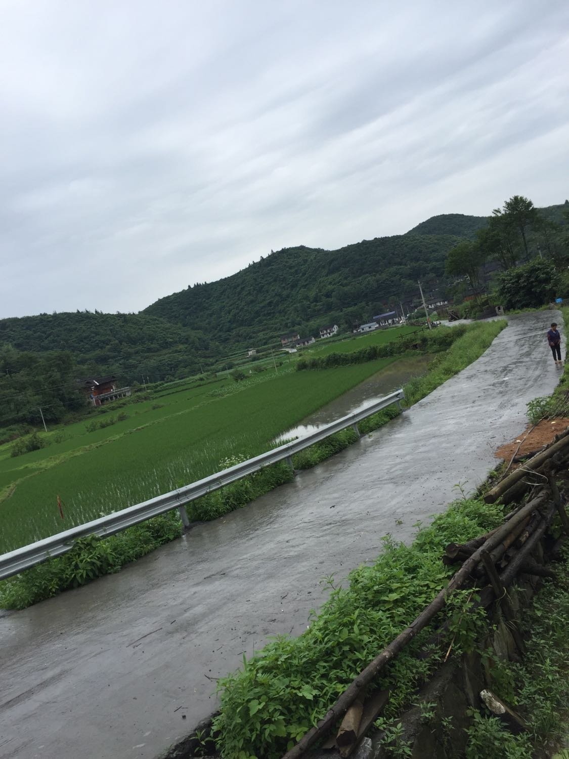 福泉村委会天气预报更新通知