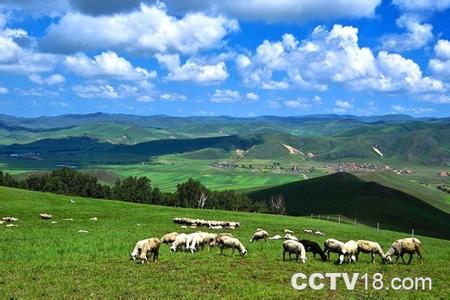 毛登牧场天气预报更新通知